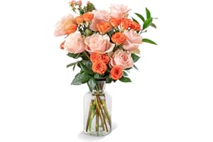 COLOUR REPUBLIC Country Living Premium Fresh Cut Orange and Peach Roses Fresh Flowers Delivery, Large Bouquet