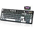 YUNZII IF99 Wireless Mechanical Gaming Keyboard with Smart LCD Display, QMK/VIA Programmable BT/2.4G/USB-C Gasket Mounted Hot Swap RGB 96% Layout for Mac/Win (Black, Cocoa Cream V2 Switch)