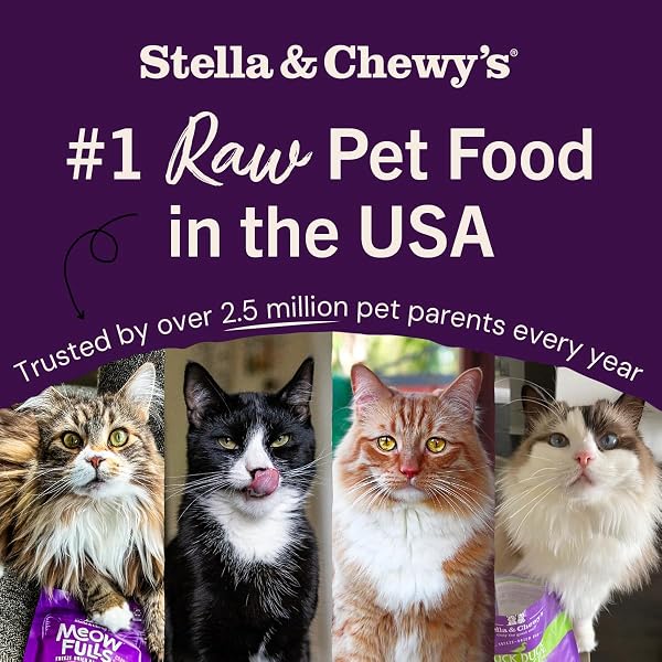STELLA & CHEWY’S FREEZE-DRIED RAW CAT DINNER MORSELS – PREMIUM DUCK & GOOSE RECIPE WITH 98% CAGE-FREE POULTRY & ORGANS – NATURAL GRAIN-FREE CAT & KITTEN FOOD – MADE IN USA – 3.5 OZ