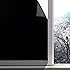 Gila window tint
