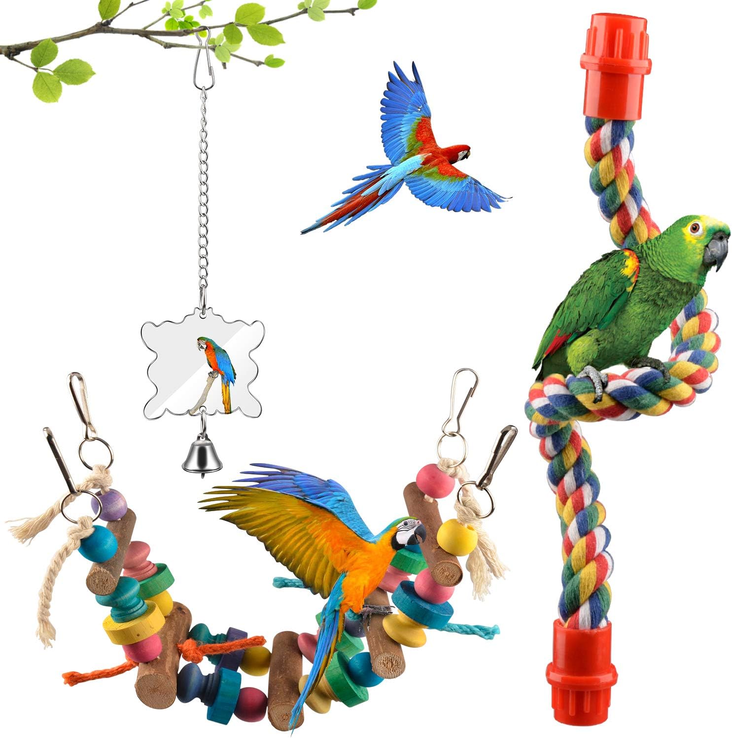 parrot swing amazon