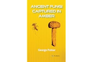 Ancient Fungi Captured in Amber