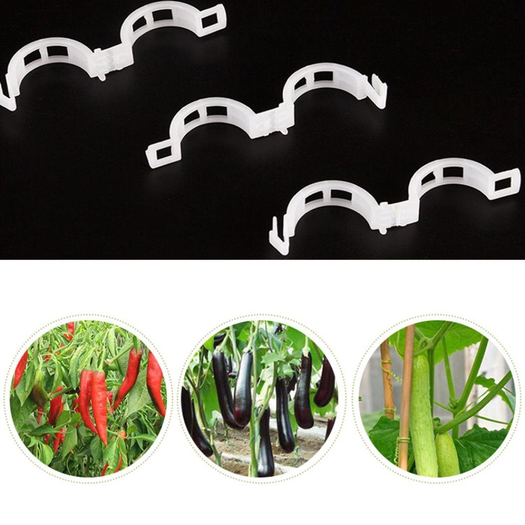 LiPing - Pinzas para Enrejado de jardín, duraderas, Ideales para ...