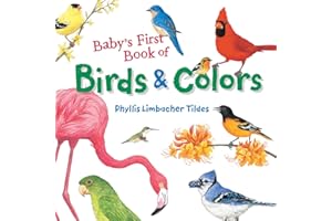 Baby's First Book of Birds & Colors
