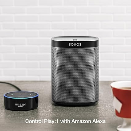 small sonos speaker