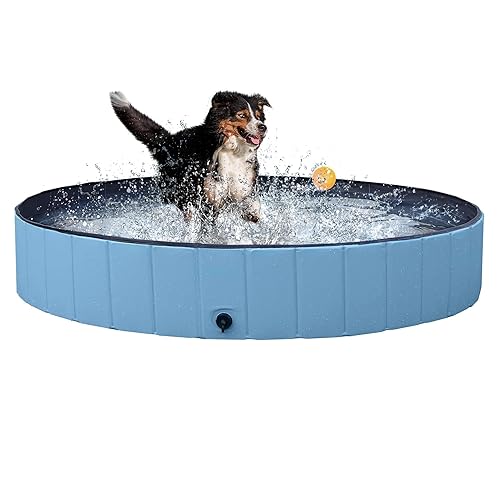 Neween Foldable Dog Pool - Collapsible Hard Plastic Pet Bath Tub For Dogs & Cats, Size L