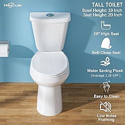 HOMLYLINK 19 Inch Compact Tall Toilet for