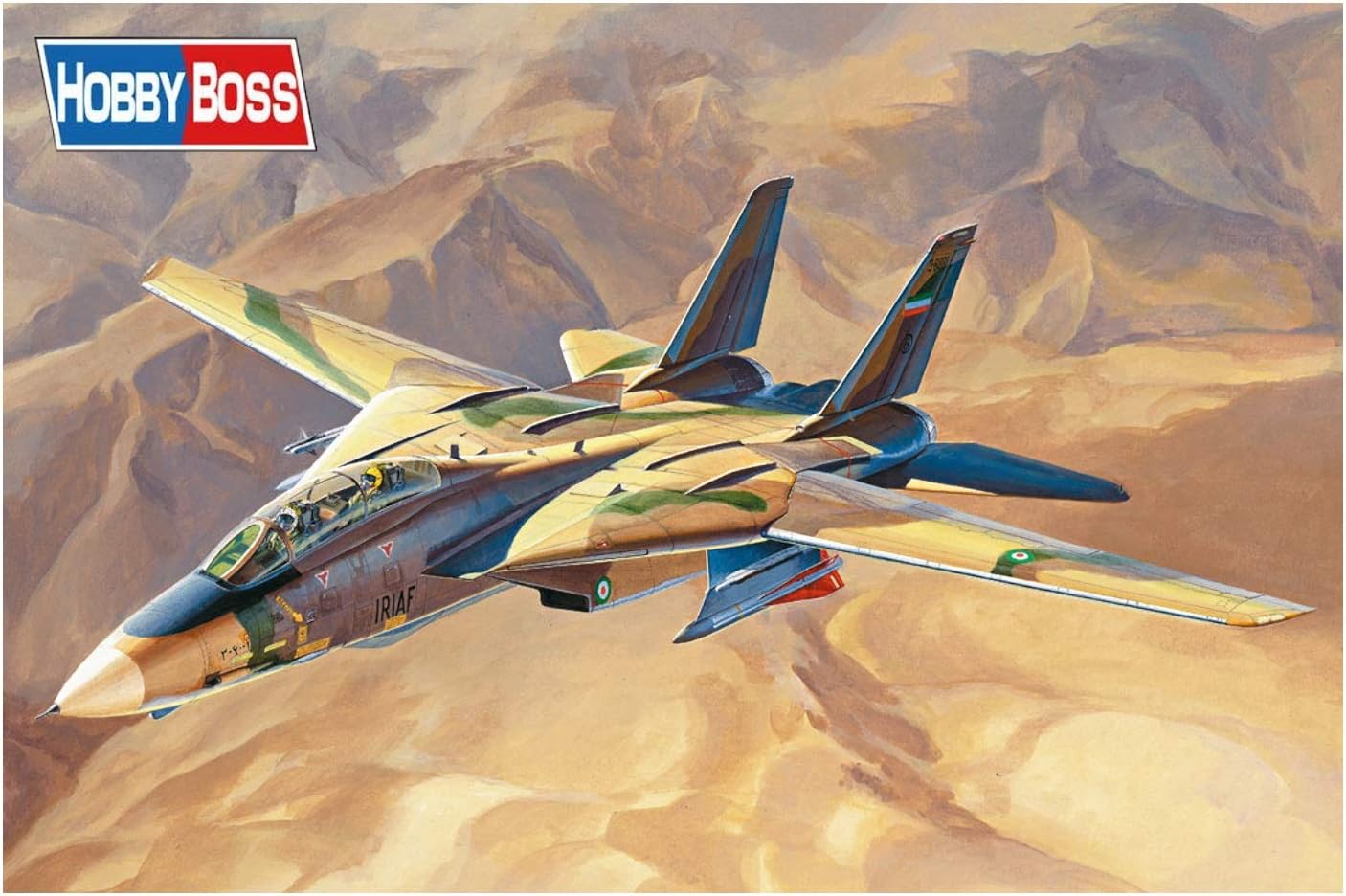 Hobbyboss 1: 48 - Iriaf F-14A Tomcat "Persian Cat", Various, Various