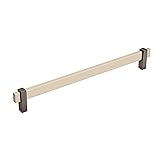 Amerock | Cabinet Pull | Silver Champagne/Black