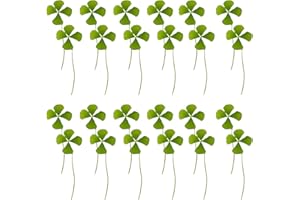 HAWILLOSCH 24pcs Natural Dried Four Leaf Clover Pressed Leaves for Resin Crafts DIY, 15-20mm Plant Art Supplies