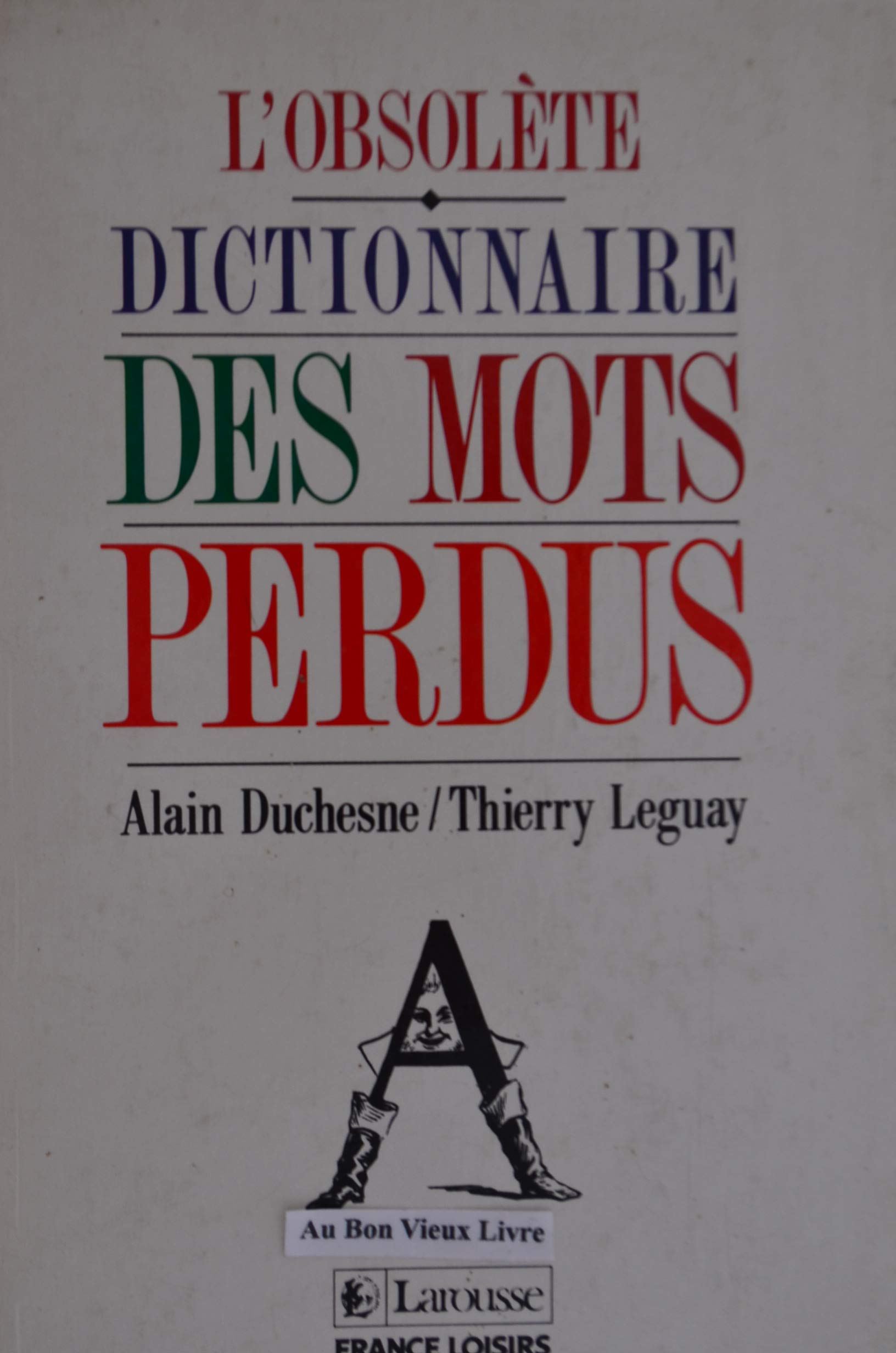 Amazon Fr Dictionnaire Des Mots Perdus Alain Duchesne Thierry Leguay Livres
