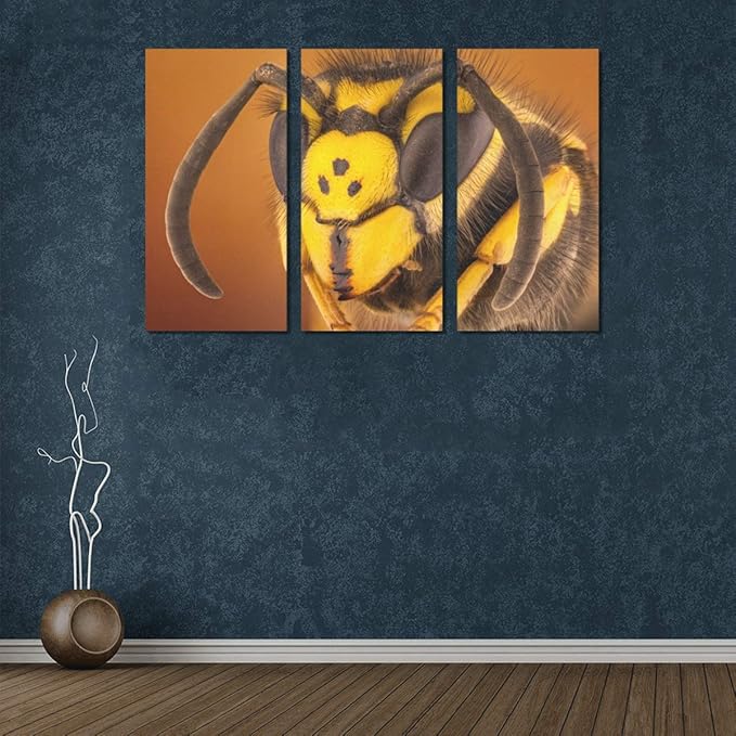 3 Panel de impresión en Lienzo Una Avispa Europea Niñas Wall Art Print