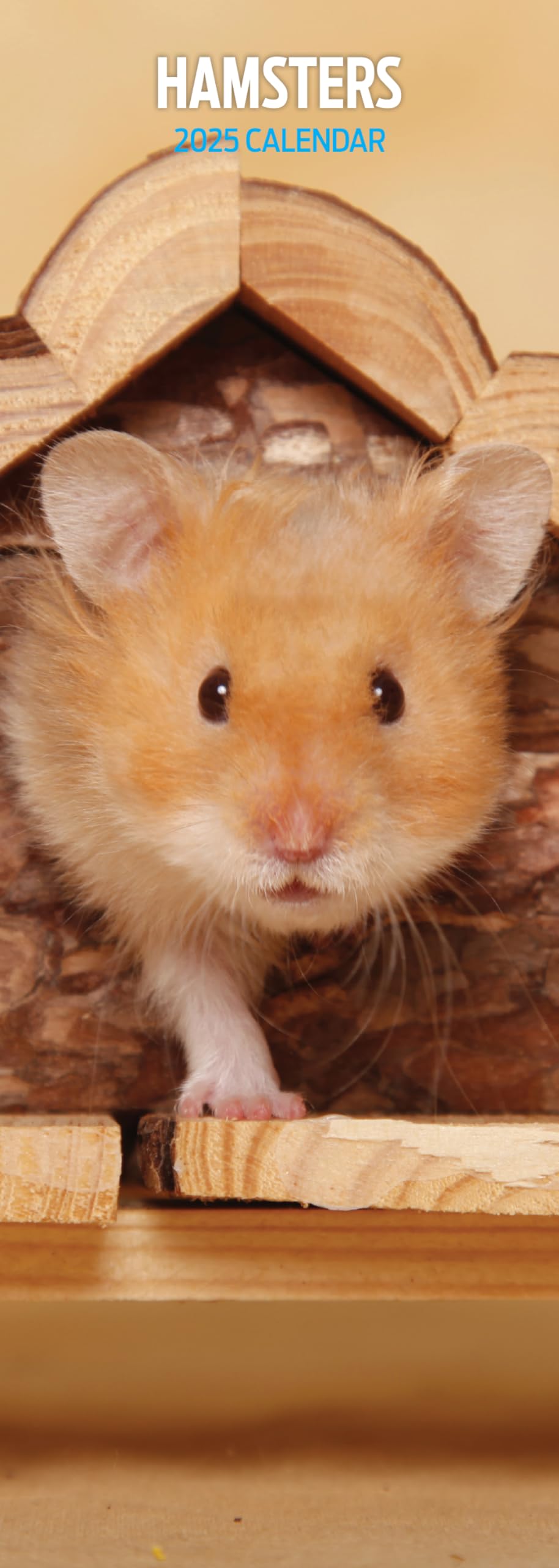 Hamsters 2025 Slim Calendar