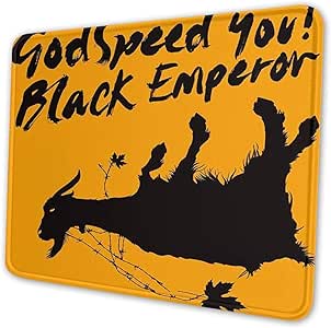 Godspeed essay picture