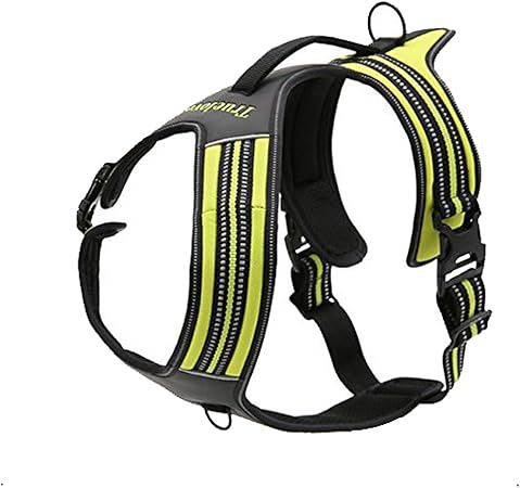 true love harness amazon