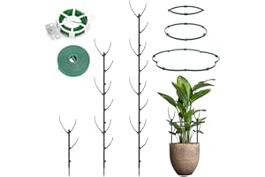 AOGEWON Plant Support Stakes, 10-Piece Set, Stackable Trellis for Monstera, Pothos, Climbing Vines, Indoor & Outdoor Use