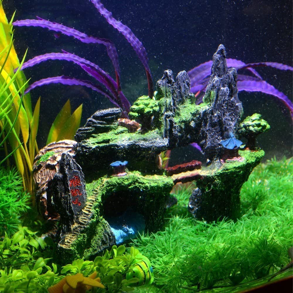 View 3