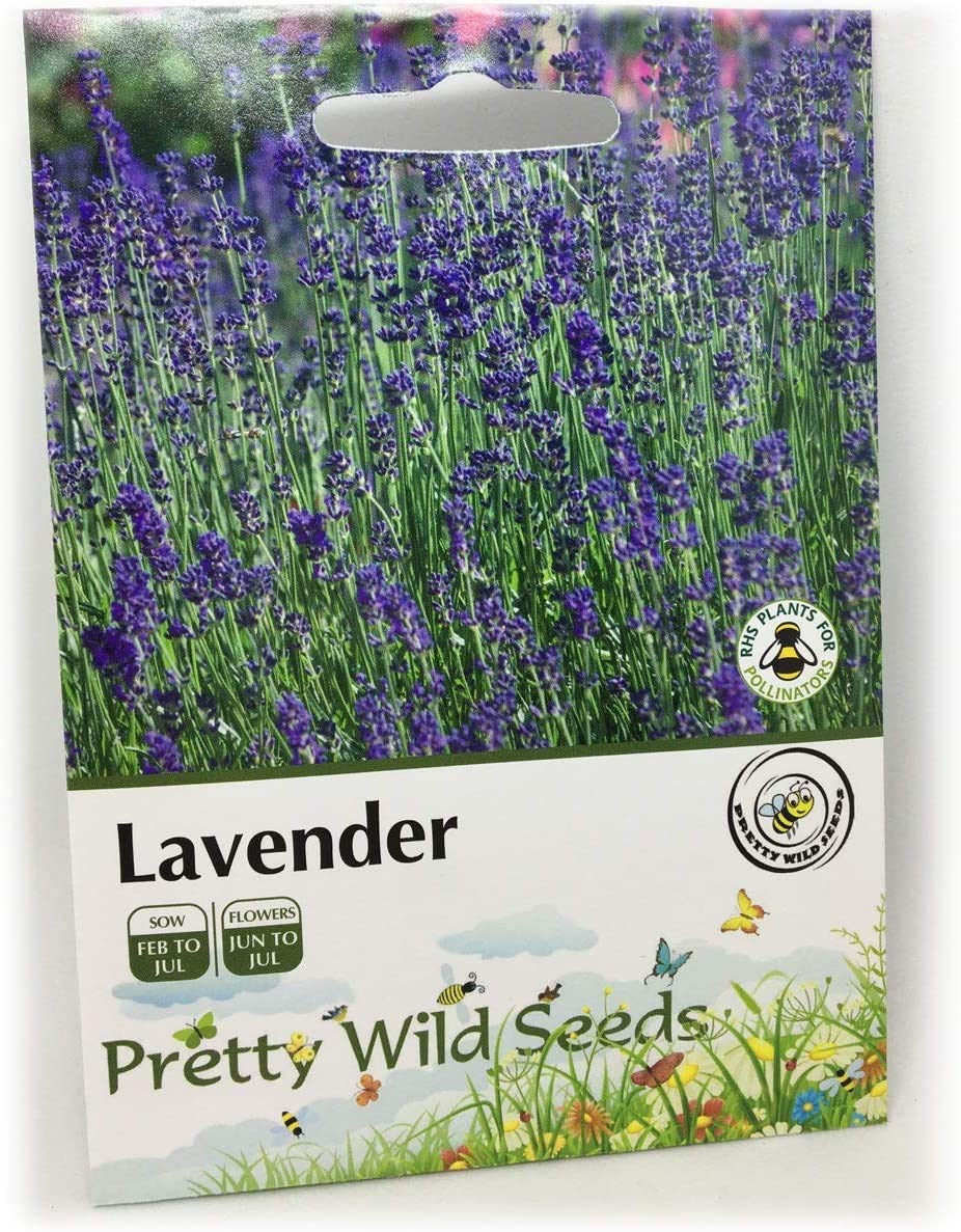 Lavender Seed Packet Contains 1g Lavendula Angustifolia Hidcote Blue Seeds