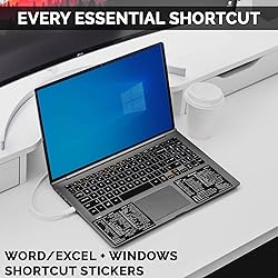SYNERLOGIC Windows + Word/Excel (for Windows) Quick