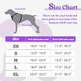 rabbitgoo Dog Harness Small No Pull Reflective Adjustable Vest Purple XS view 2