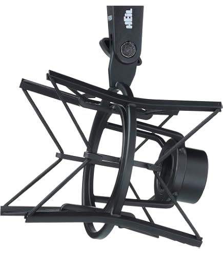 Amazon.com: Heil PL 2T Fully Articulating, Professional-Quality