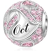 JIAYIQI Birthstone Charms for Bracelet Necklace 925 Sterling Silver Bead Love Heart Charms Happy Birthday Charms for Women