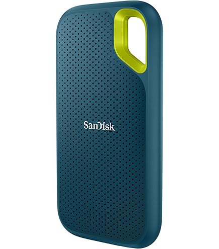 Amazon.com: SanDisk 1TB Extreme Go SSD : Electronics