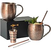 Sky Fish 3D Etched Moscow Mule Copper Plated Mugs Set of 2 Stainless Steel Mugs 18 oz Premium Gift Set with 2 Cocktail Copper Straws, Jigger