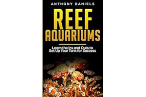 Reef Aquariums: Learn the Ins and Outs to Set Up Your Tank for Success