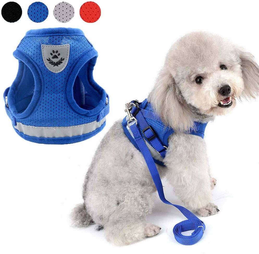 Zunea No Pull Dog Harness for Small Dog Reflective Breathable Soft Mesh Padded Step-in Vest Harness Leash Set