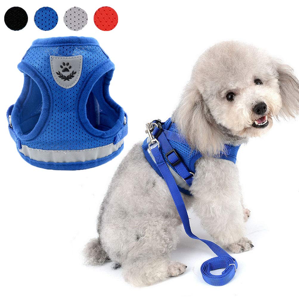 Zunea No Pull Dog Harness for Small Dog Cat Reflective Breathable Soft Mesh Padded Step-in Vest Harnesses Leash Set, Puppy Kitten Lead Escape Proof for Daily Walking Blue XS