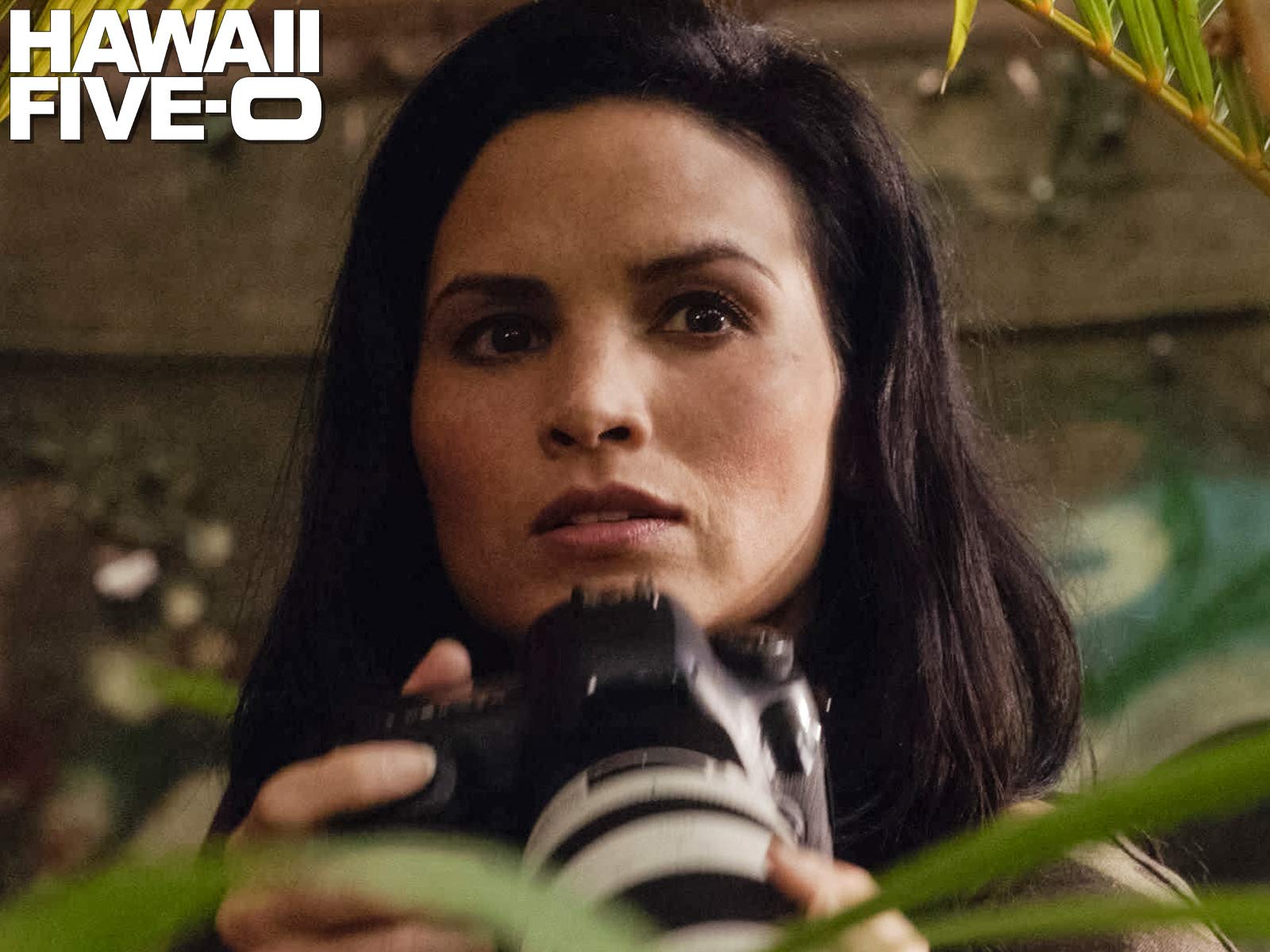 amazon prime video hawaii five o