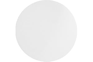 Omicron 130025 Borosilicate Glass Fiber Binder Free Filter, 1.6 m, 25 mm (Pack of 100)