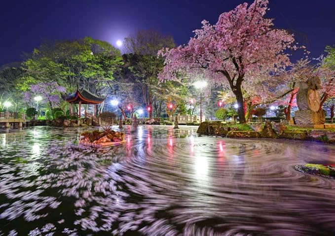 Amazon Co Jp 絵画風 壁紙ポスター はがせるシール式 地球の撮り方 花びらグルグルの絶景 岐阜公園の日中友好庭園の桜のライトアップ 日本の絶景 キャラクロ C Zjp 086a2 版 594mm 4mm 建築用壁紙 耐候性塗料 ホビー