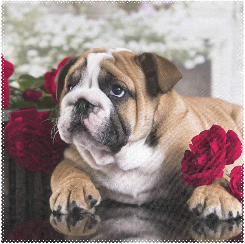 $200 english bulldog puppies