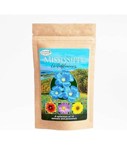 Amazon.com : Created By Nature Wisconsin Wildflower Seed Mix, 16 Flower  Varieties, 40,000 Seeds : Patio, Lawn & Garden