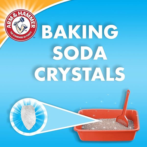 ARM & HAMMER DOUBLE DUTY CLUMPING CAT LITTER, 14LB