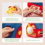 Hahaland Baby Toys 6-12 Months Farm Animals with Barn Rattle Crinkle Mirror view 3