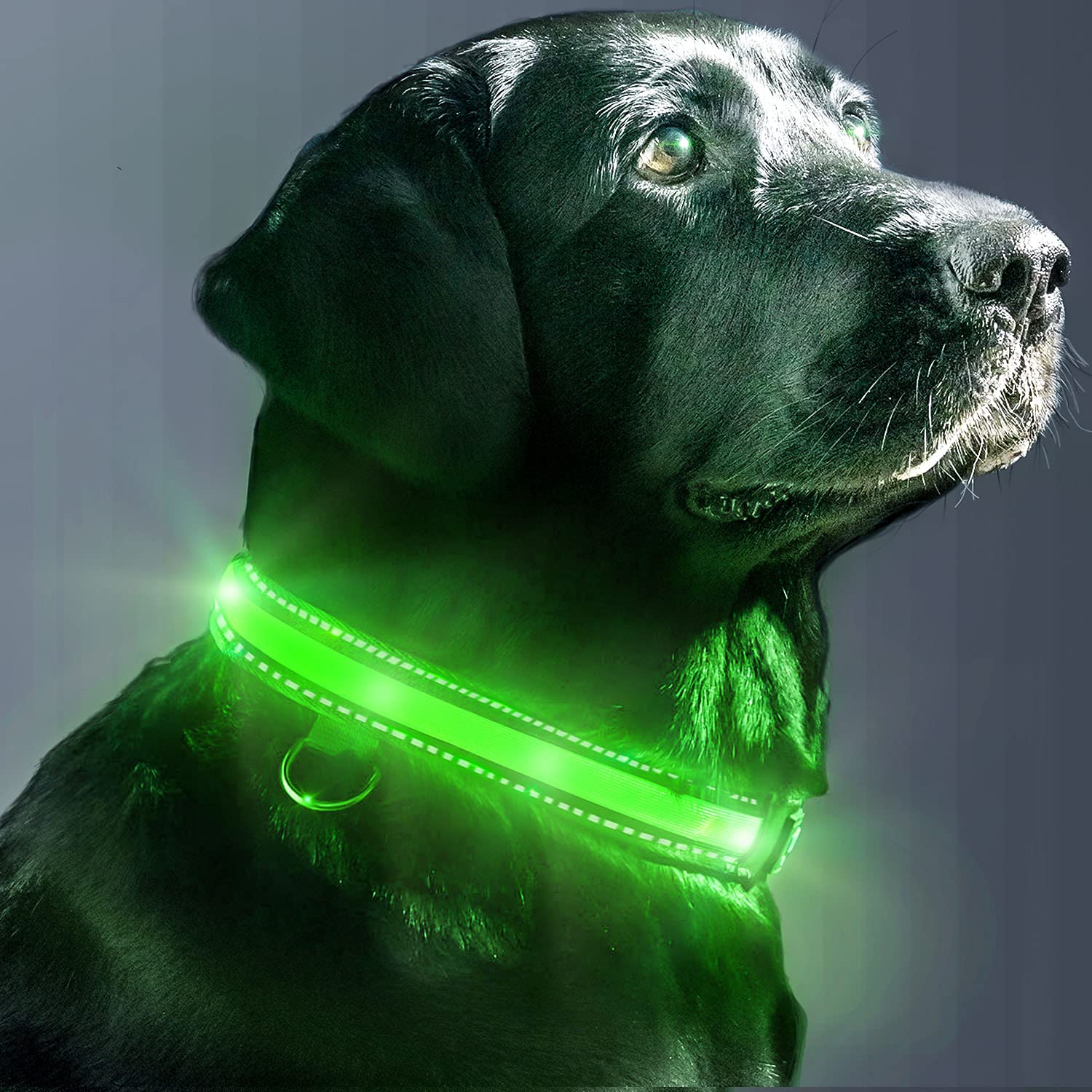 EVERSUNN LED Dog Collar USB Rechargeable Light up Dog Collar with Reflective and Adjustable Waterproof Flashing Light Glowing Dog Collars Large