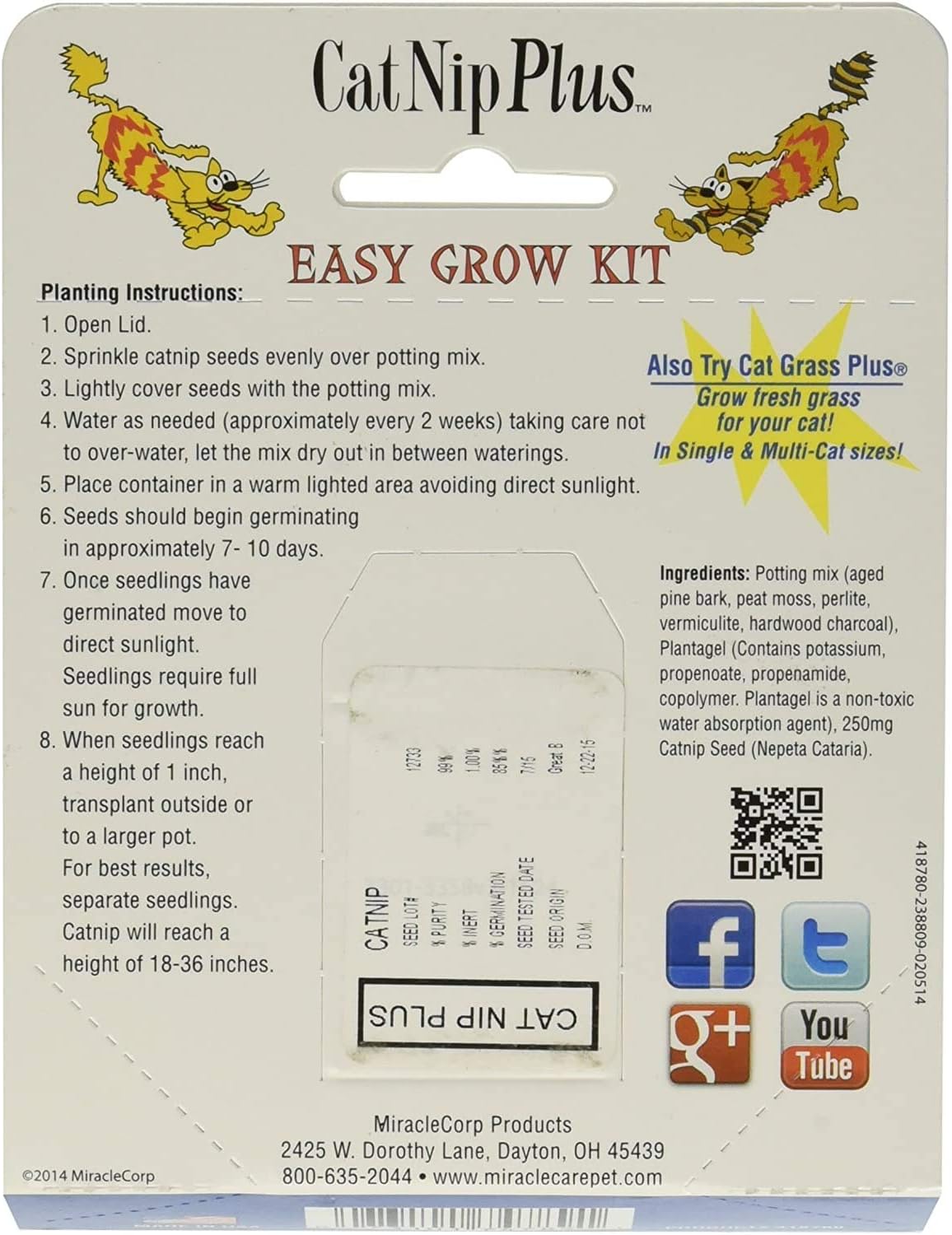 Cat-A'bout Multi-Cat CatGrass Plus Tub 150 grams by MiracleCorp/Gimborn : Cat Grass : Pet Supplies