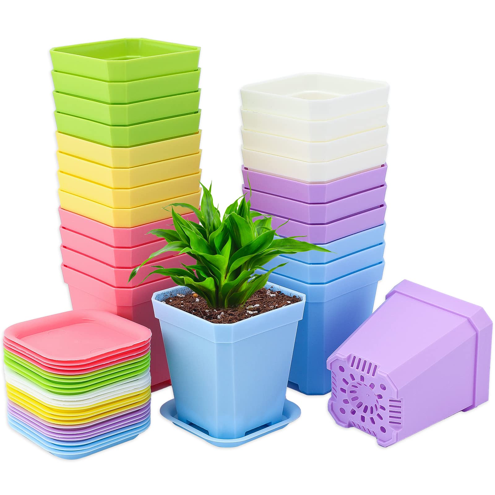 KINGLAKE 24Pcs Plastic Square Plant Pots with Trays, 7cm Thick Seed Seedling Pots, Small Coloured Nursery Flower Pots for Vegetables Cuttings Succulent Cacti