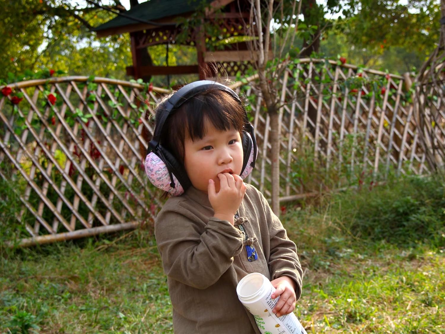 Otoprotettori Fenicottero Concerti Film e Teatro Paraorecchie con  Cancellazione del Rumore Adatto per Studiare Cuffie AntiRumore per Bambini  ZOHAN Cuffie Paraorecchie Di Protezione Acustica Aereo urban-earth.co.uk