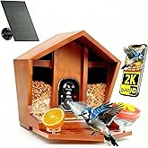 Birdster Smart Bird Feeder with Camera Solar Powered AI Identification 10,000+ Bird 2K UHD Video Live Instant Arrival Alerts and Real-Time Motion Detection Weatherproof Bamboo for Outdoor Birds Lovers