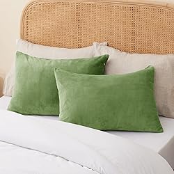 BEDELITE Flannel Pillow Cases Queen Size Set of