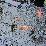 SolaDirect Pond Liner 3 x 3 m 200 GSM UV Resistant Tear-Resistant view 5