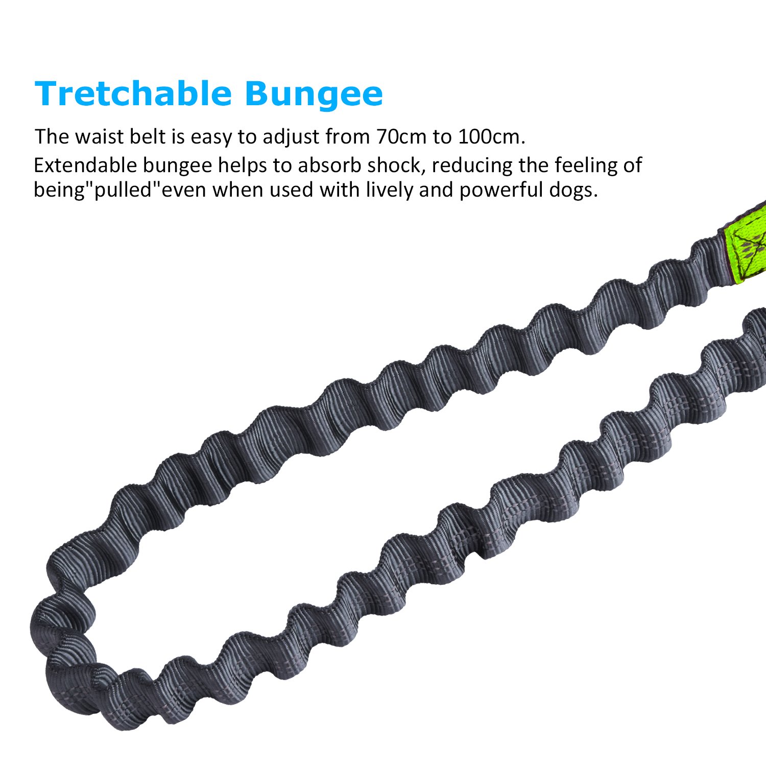 Hands Free Dog Leash,Ecandy Durable Handle Shockproof Extendible Bungee(Stretches to 75