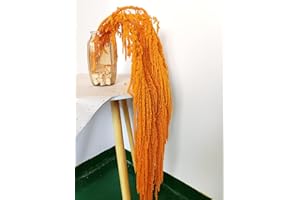 DONGARTS 5 Pcs Bleached Wisteria Vine Hanging Dried Flowers, Natural Preserved Hanging Amaranthus Flowers for Wedding Bouquet, Wall Home Party Decor (Orange)