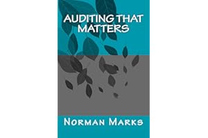 Auditing that matters