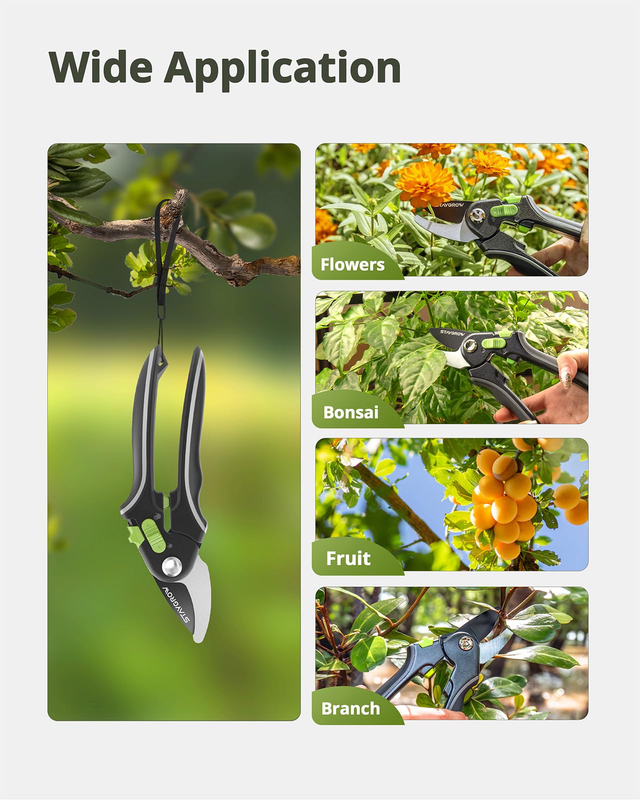 Pruning Shears for Gardening - 8.5