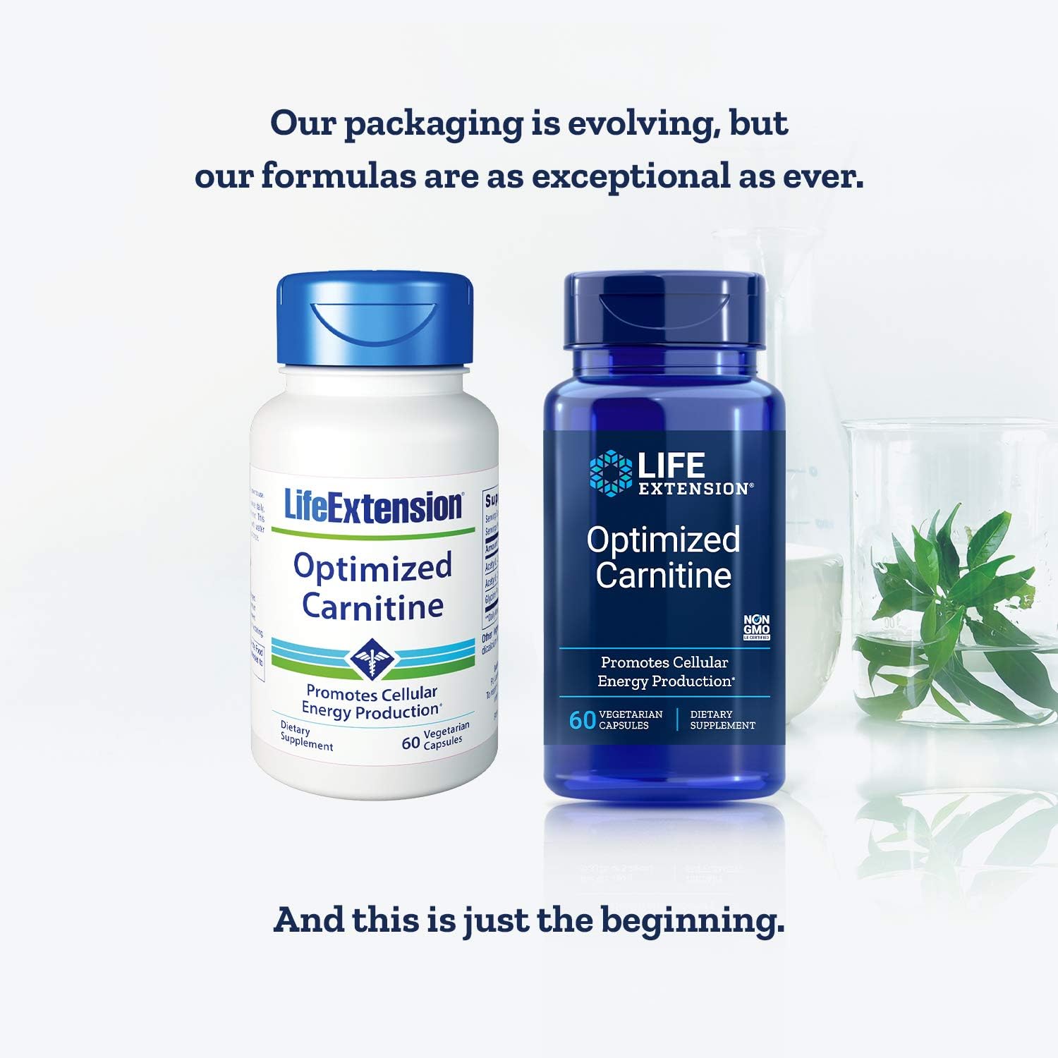 Life Extension Optimized Carnitine, 60 Vegetarian Capsules: Health & Personal Care